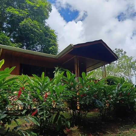 Gambas Lodge La Fortuna ภายนอก รูปภาพ