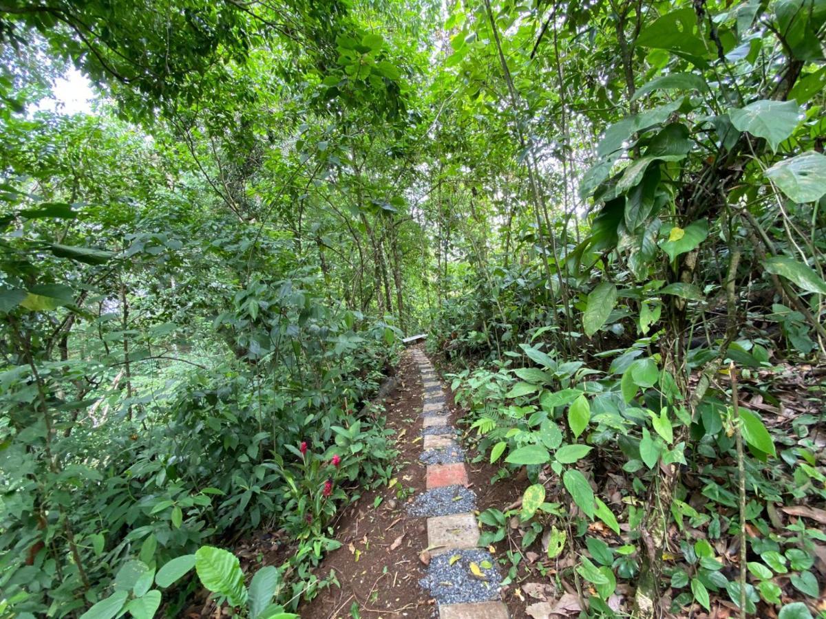 Gambas Lodge La Fortuna ภายนอก รูปภาพ