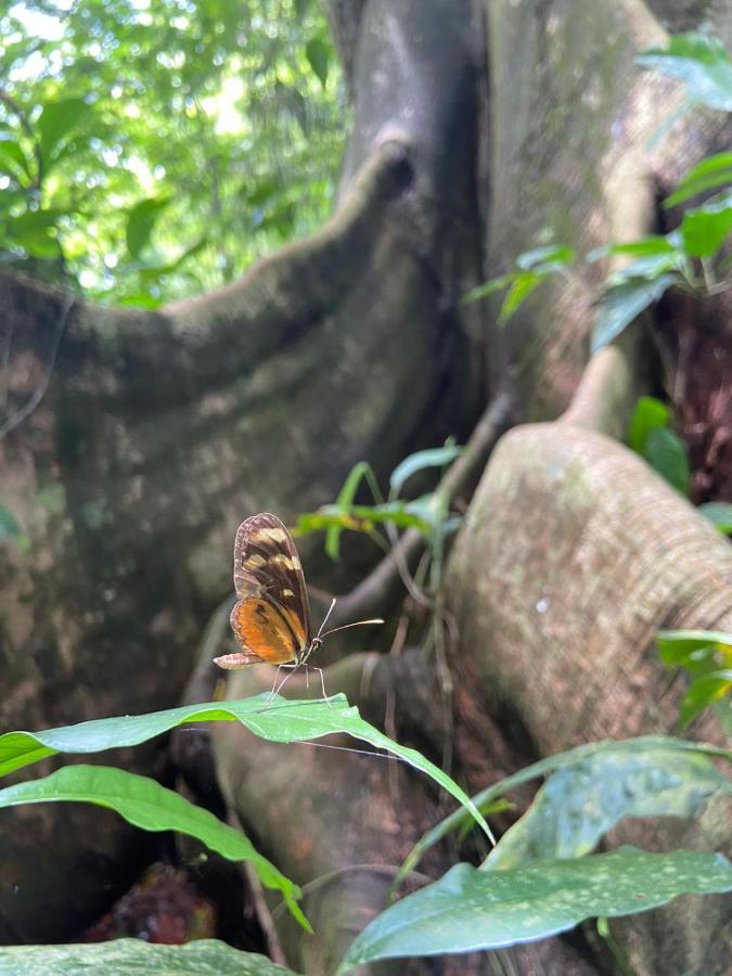 Gambas Lodge La Fortuna ภายนอก รูปภาพ