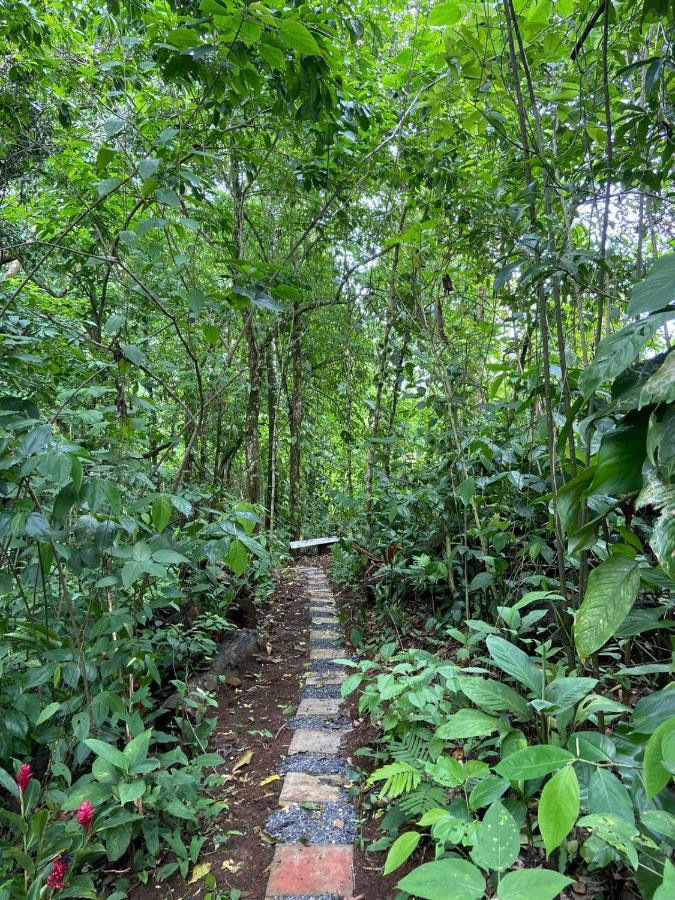 Gambas Lodge La Fortuna ภายนอก รูปภาพ