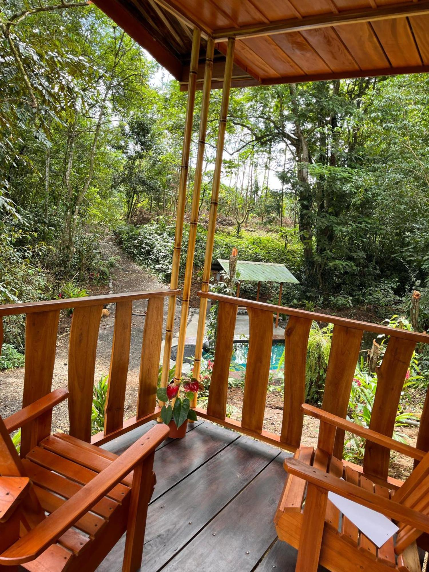 Gambas Lodge La Fortuna ภายนอก รูปภาพ