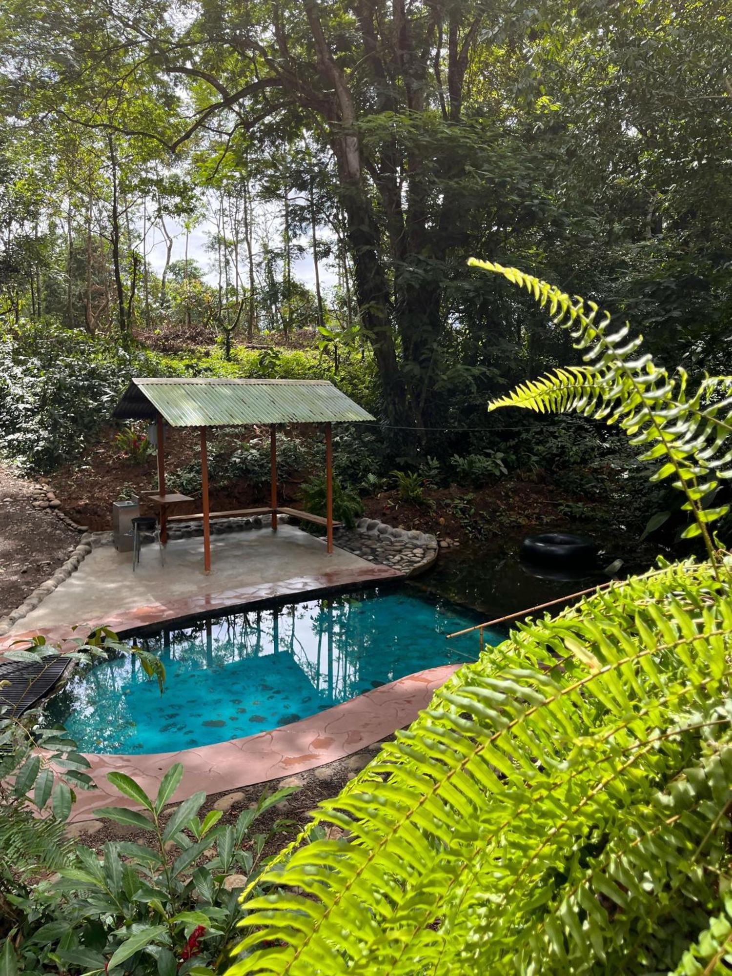 Gambas Lodge La Fortuna ภายนอก รูปภาพ