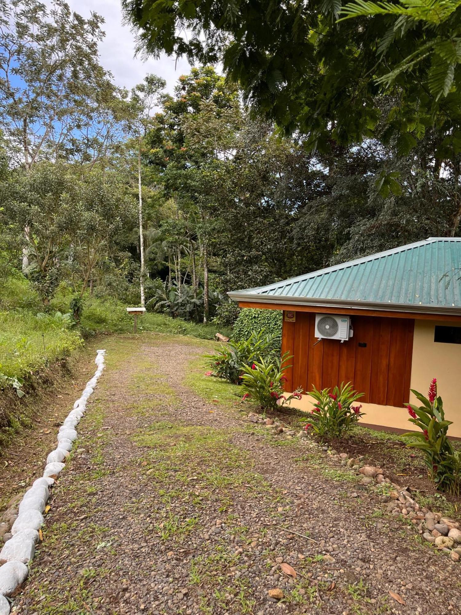 Gambas Lodge La Fortuna ภายนอก รูปภาพ