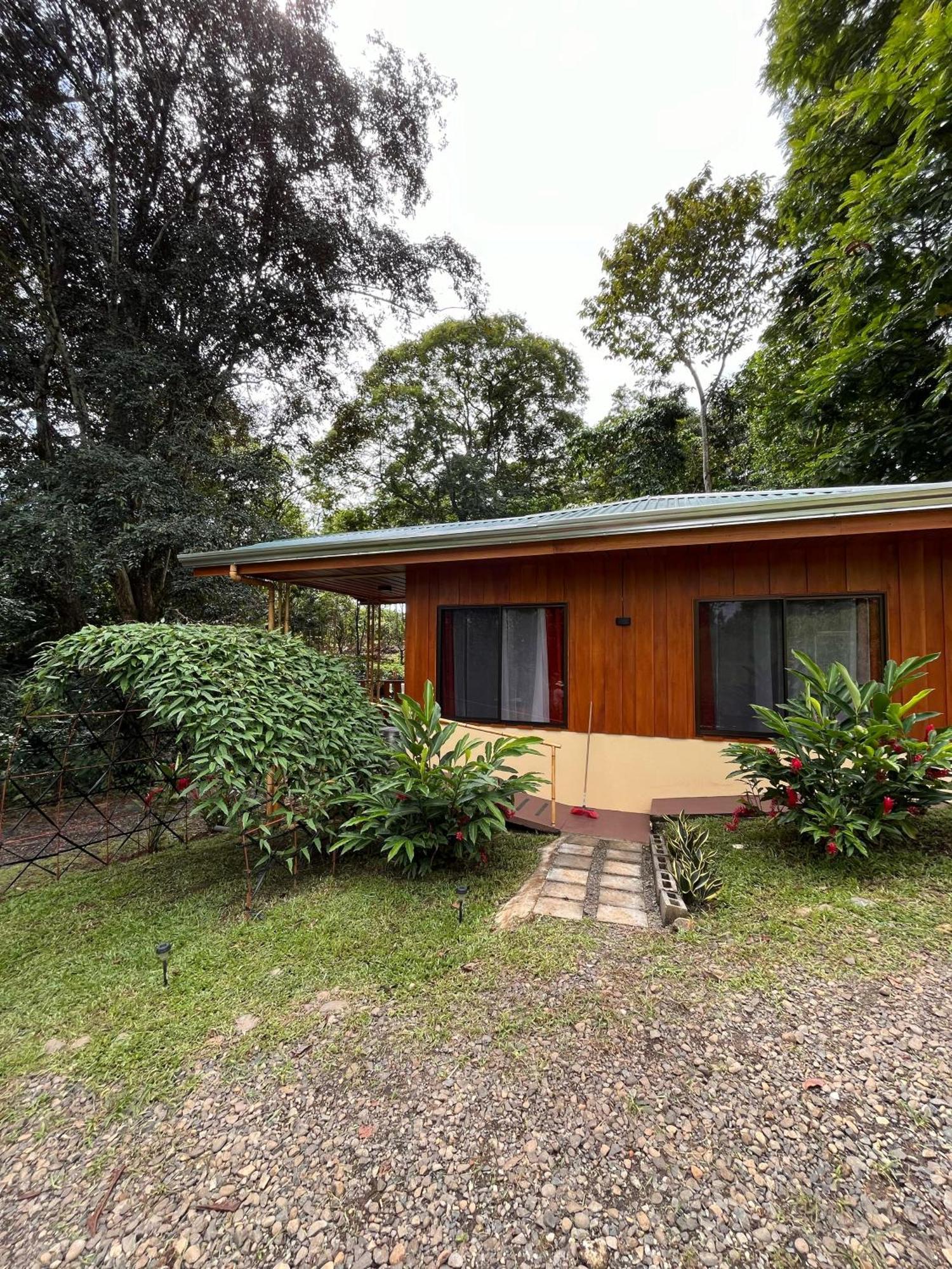Gambas Lodge La Fortuna ภายนอก รูปภาพ