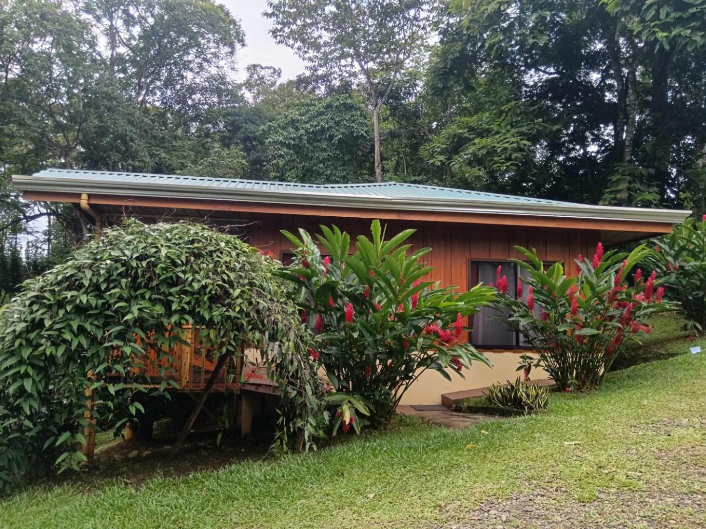 Gambas Lodge La Fortuna ภายนอก รูปภาพ