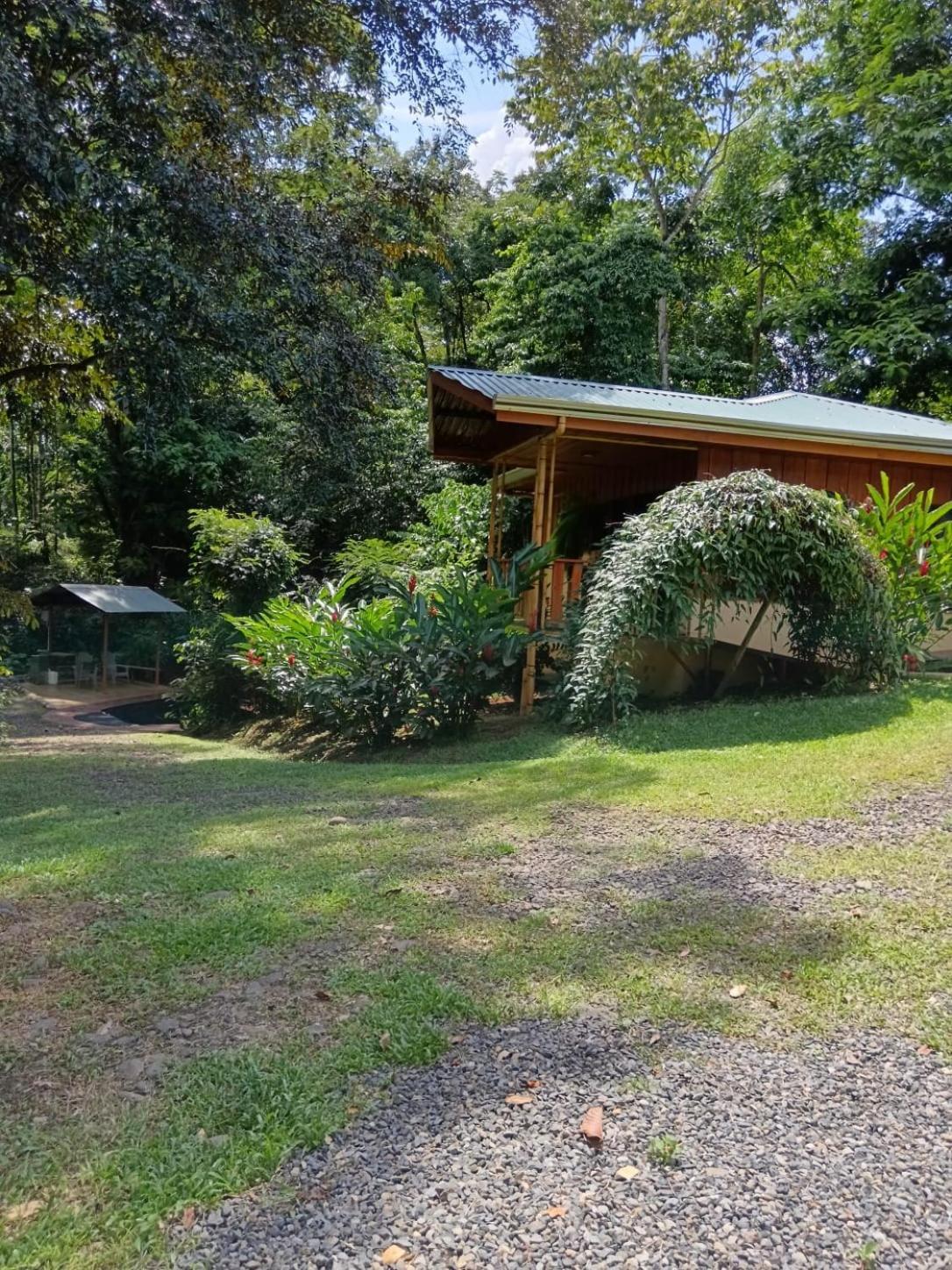 Gambas Lodge La Fortuna ภายนอก รูปภาพ