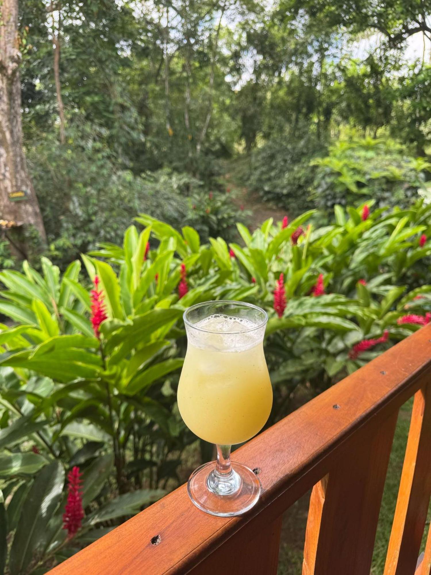 Gambas Lodge La Fortuna ภายนอก รูปภาพ